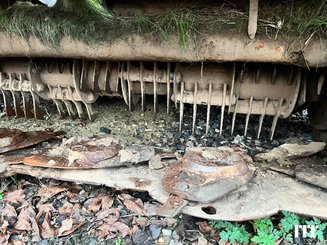 Faucheuse conditionneuse Kuhn FC 284 D - 9